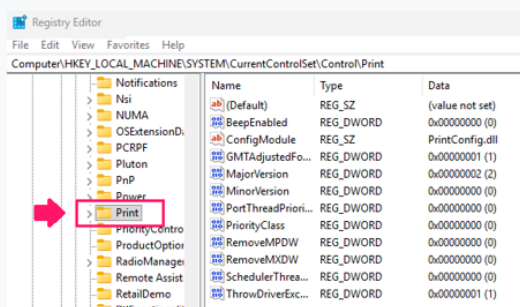 Registry Editor Printer Registry Editor Printer