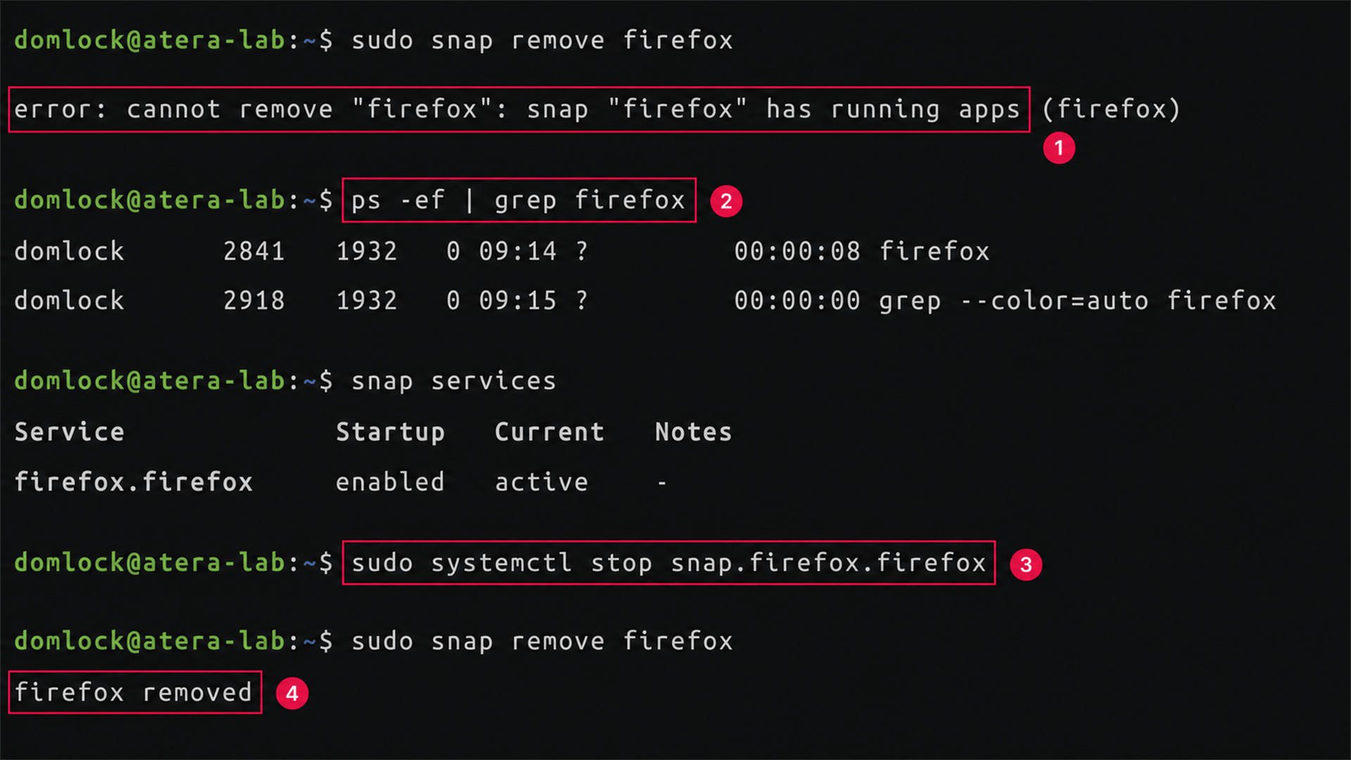 Resolve a Snap process running error Resolve a Snap process running error