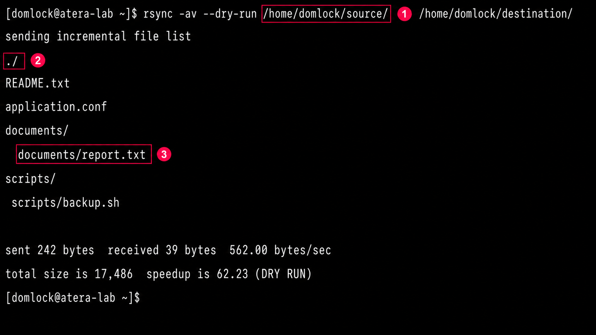 Run rsync dry run with trailing slash Run rsync dry run with trailing slash