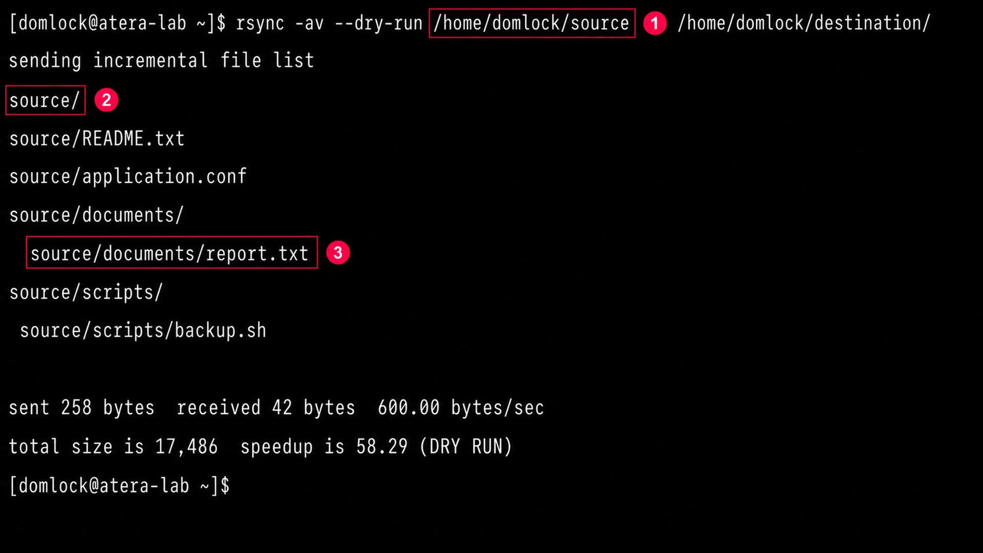 Run rsync dry run without trailing slash Run rsync dry run without trailing slash