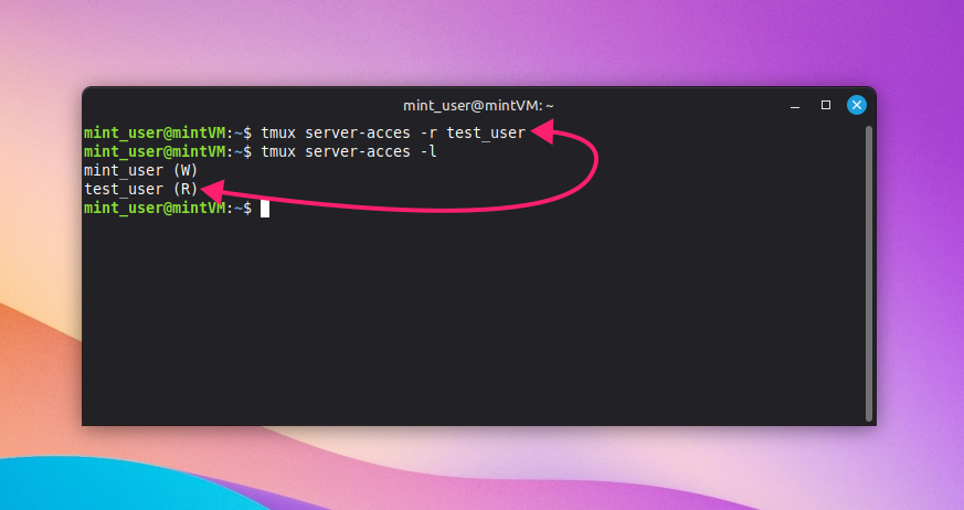 Server access command on tmux Server access command on tmux