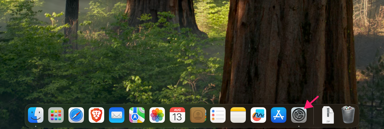 Settings icon on Mac dock Settings icon on Mac dock