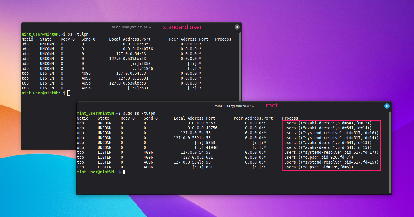 Standard vs root user Standard vs root user