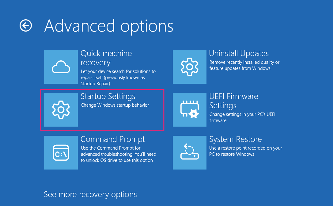 Startup settings in WinRE Startup settings in WinRE