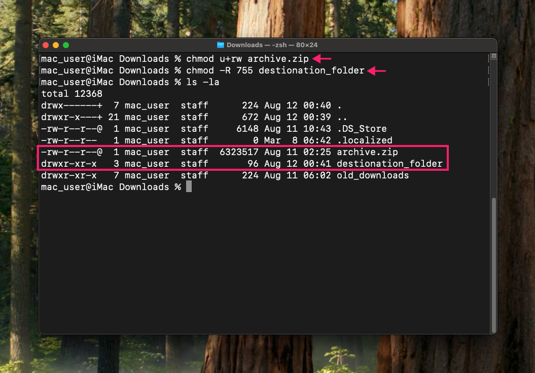 chmod command chmod command