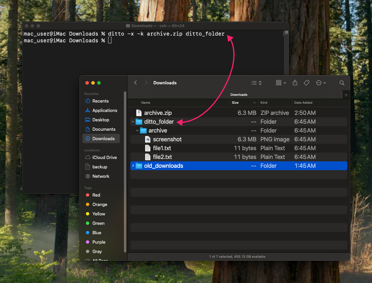 ditto command on macOS ditto command on macOS
