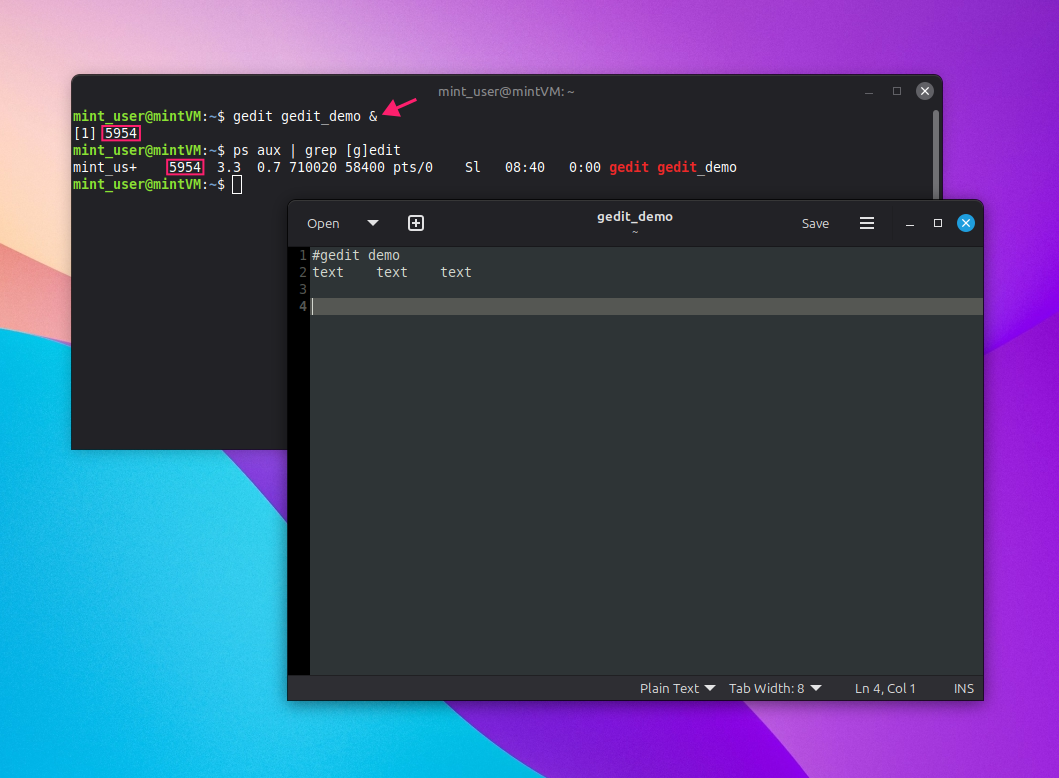 gedit command to run unattached gedit command to run unattached