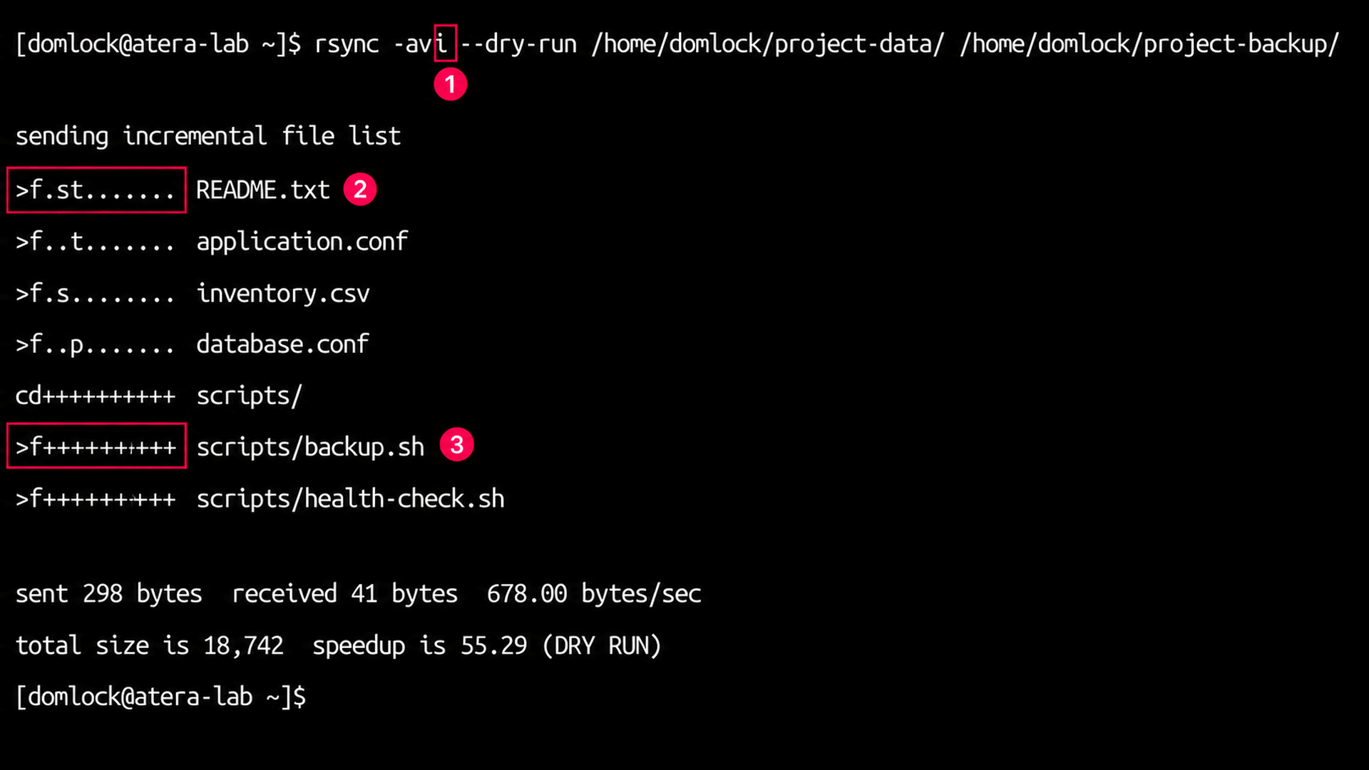 itemize-changes flag on rsync dry run command itemize-changes flag on rsync dry run command