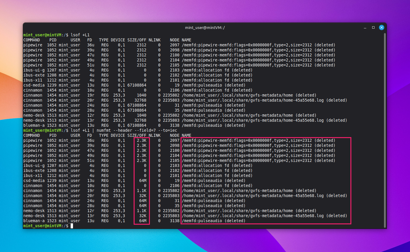 lsof command in Linux lsof command in Linux