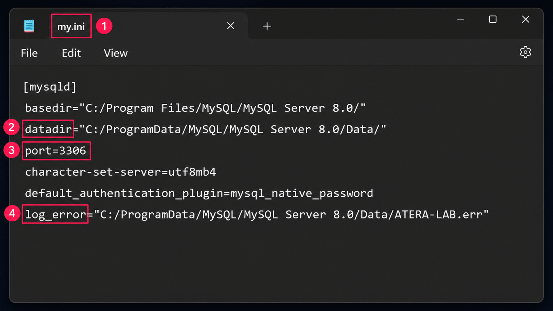 my ini startup file
