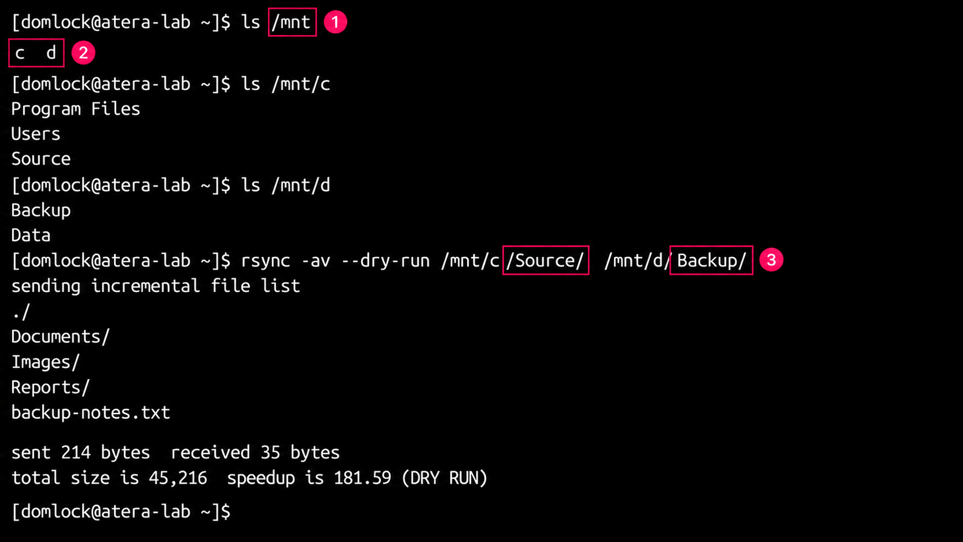 rsync dry run command on WSL rsync dry run command on WSL
