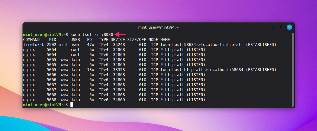 sudo lsof command sudo lsof command