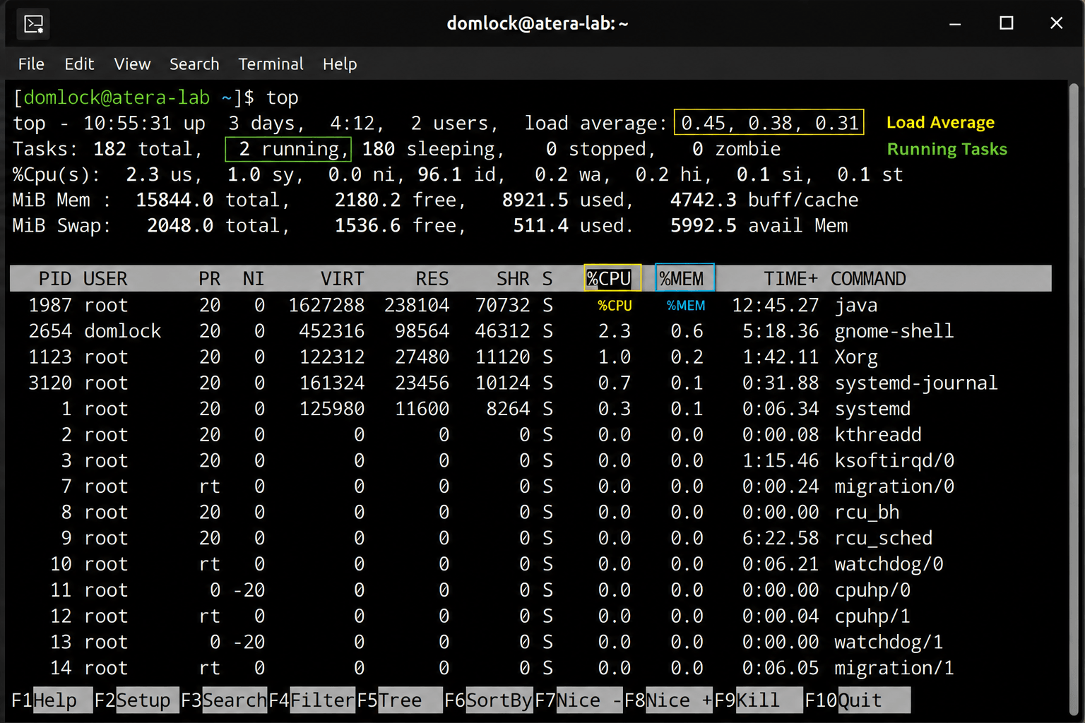 top command to check running processes top command to check running processes