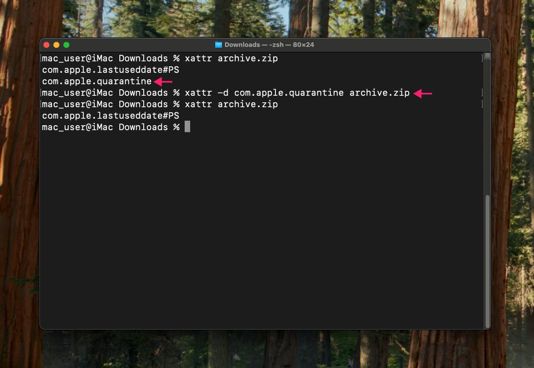 xattr command on macOS xattr command on macOS